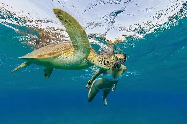 Oahu 16-Location Guided Circle Island Snorkel Tour - Primary Image