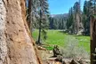 Sequoia National Park Private Tour - Second Medium