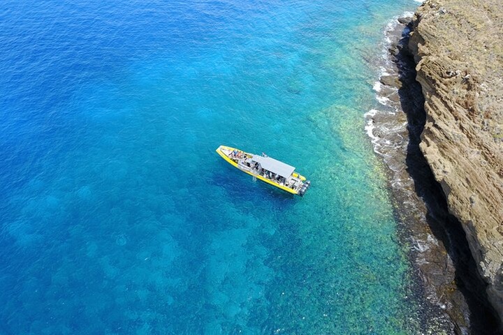 HIGH QUALITY Whale Watch Adventure Aboard Luxury Super Raft