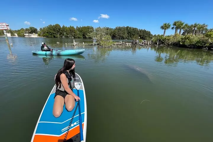 Wildlife Refuge Manatee, Dolphin & Mangrove Kayak or Paddleboarding...