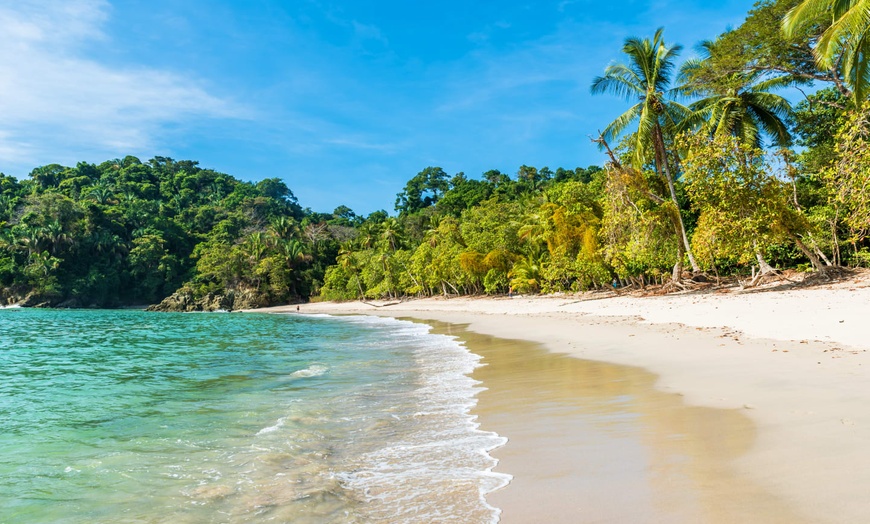 Image 16: ✈ COSTA RICA | De San José à Manuel Antonio - Entre Jungle, Plage E...