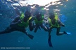 Private Guided Snorkel Tour of Fort Lauderdale's Reef - Second Medium