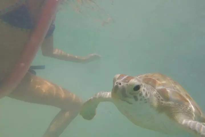 Florida Key Private Islands Exclusive Day Trip from Miami w/activ