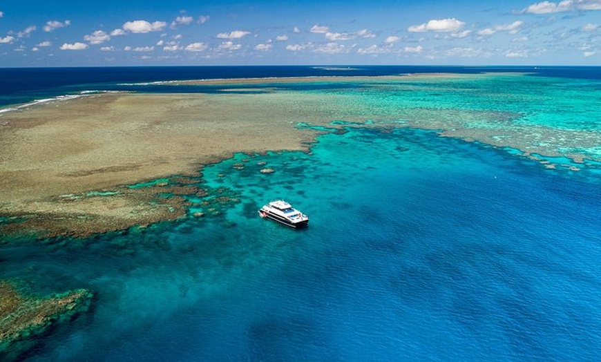 Image 5: Calypso Outer Great Barrier Reef Cruise from Port Douglas