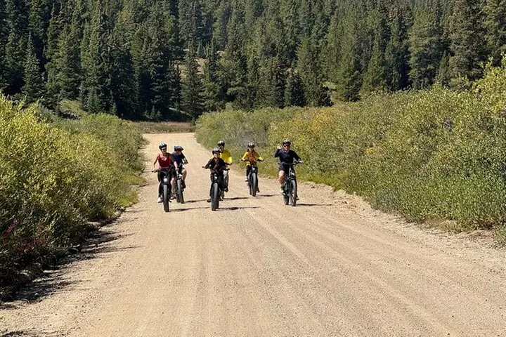 3-Hour E-Bike Tour of Trail of the Silver Kings (Old Mine Tour) - Primary Image