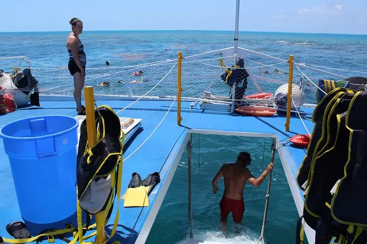 Sun, Snorkel & Sip : Key West Day Trip from Miami