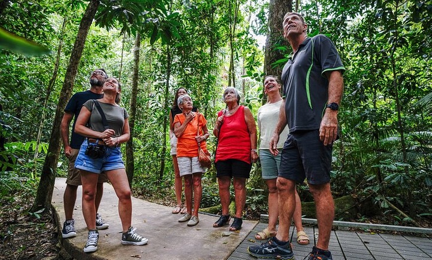 Image 1: Total Daintree Experience Tour from Port Douglas