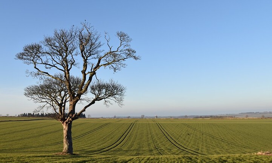 Image 5: Edinburgh coastline and Rosslyn Chapel Tour Experience