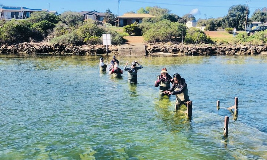 Image 13: Oyster Farm and Tasting Tour with Hotel Pick-up and return from Por...