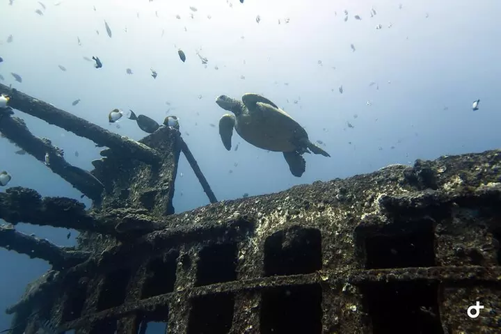 Small-Group Deep Dive in Oahu with Shipwreck and Reef