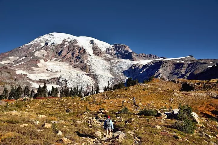 Best of Mount Rainier National Park from Seattle: All-Inclusive Sma...