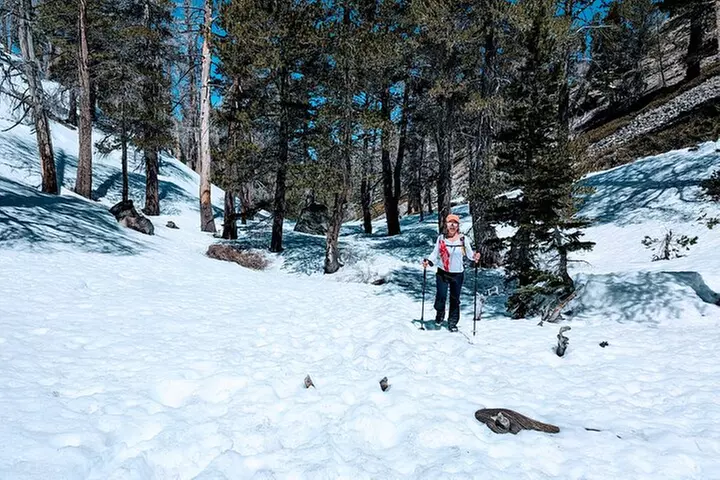 Family-Friendly Nature Hike around the Big Bear Valley