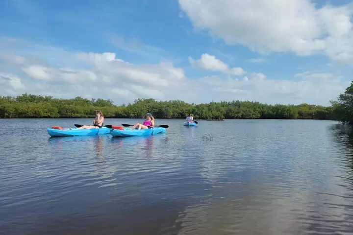New Smyrna Dolphin and Manatee Kayak and SUP Adventure Tour