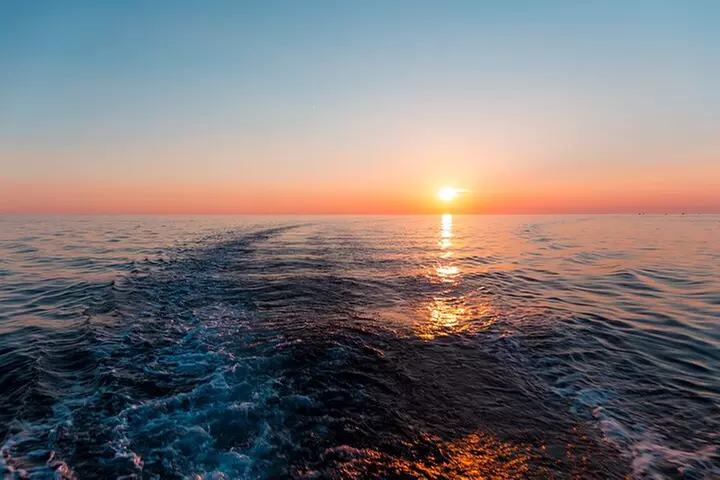 Manatee, Dolphin and 10,000 Islands Sunset Cruise!