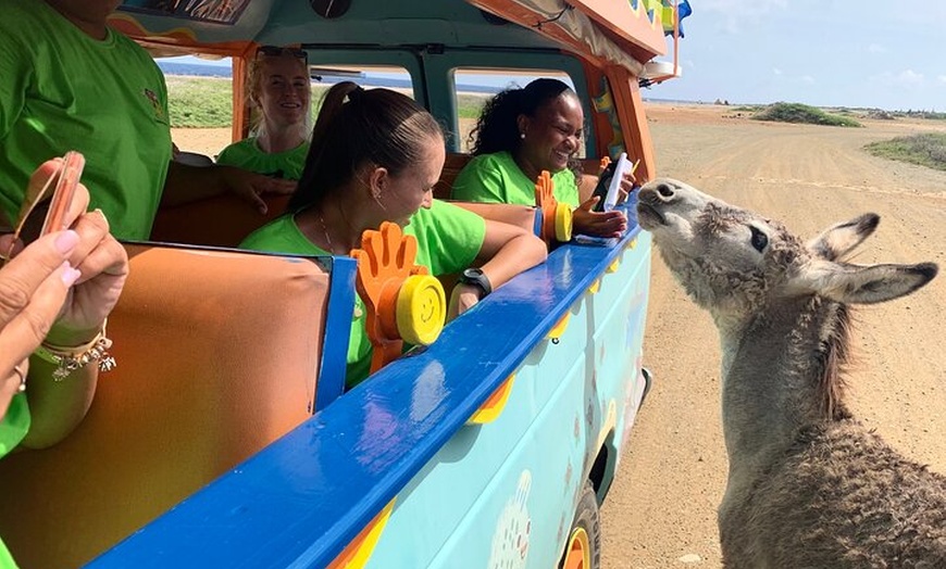 Image 11: Luc's Bonaire Open Bus Tour