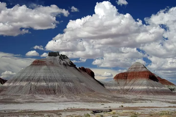 Petrified Forest National Park Self-Guided Driving Audio Tour