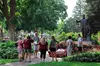Walk Through Historic Holland's Downtown