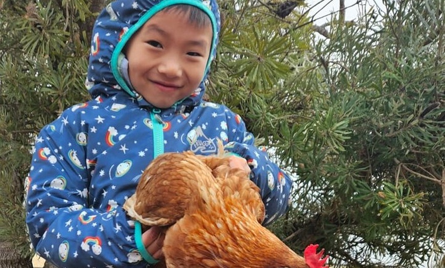 Image 21: Boshack Farm - Animal, Wildlife, Stargazing Nature Aussie culture