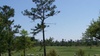 Online Booking - Round of Golf at Diamondhead Country Club - Pine Course