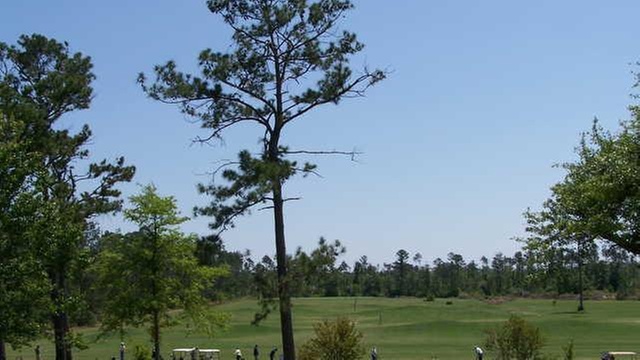 Online Booking - Round of Golf at Diamondhead Country Club - Pine C...