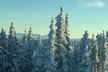 Arctic Circle Day Trip from Fairbanks with Transportation - Second Medium