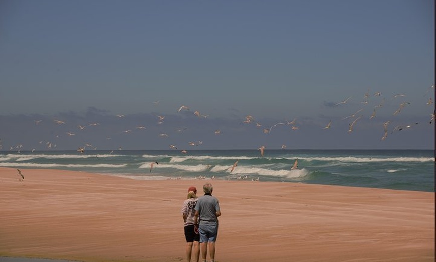 Image 4: Half-Day Pemberton National Parks Beach and Forest Eco Adventure