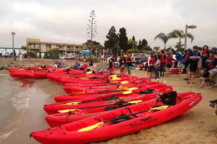 San Diego Bay 1.5-Hour Guided Kayak Tour in Coronado