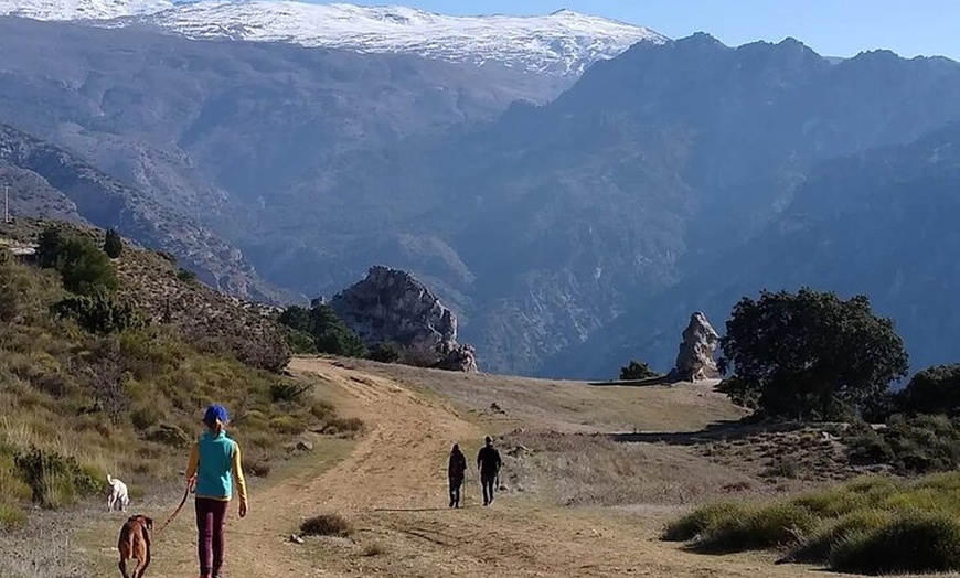 Image 32: NUEVO:Sunset Hike & Summit Sierra Nevada - Tour privado con cachorro