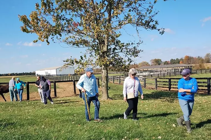Half-Day Thoroughbred Horse Farm Tour in Kentucky