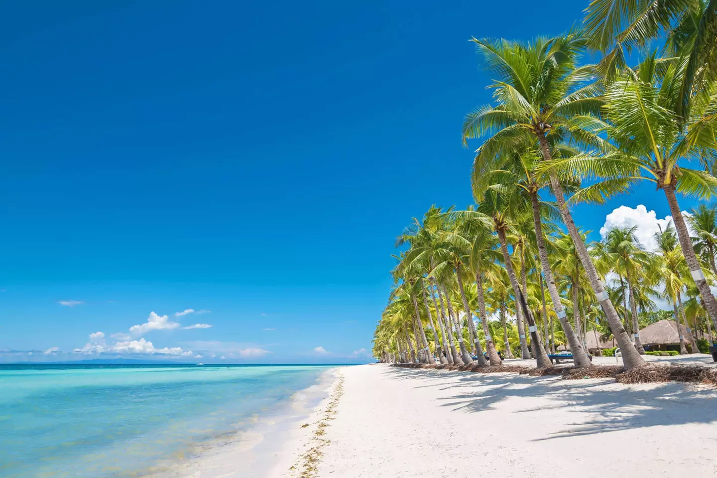 ✈ FILIPPINE | Cebu - Alla scoperta delle Filippine 4*, 7 notti - Tour