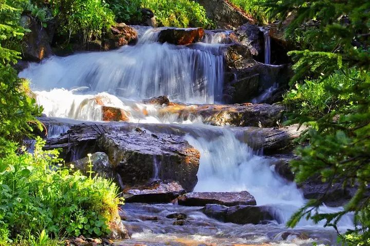 Half-Day Rocky Mountain National Park "Lake and Meadows Tour"