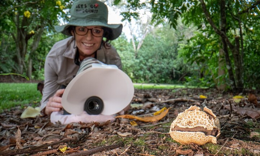 Image 4: 2-Hour Mushroom Photography Activity in Cairns Botanic Gardens