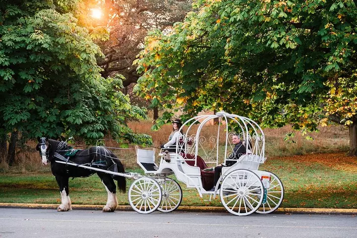 45-Minute By The Park Tour - Primary Image