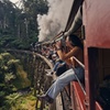 Image 4: Puffing Billy & Rainforest Tour from Melbourne