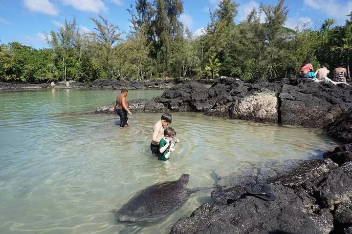 Beach Snorkel - Sea Turtle and Black Sand Lagoon
