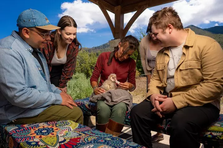 Experience Raptors and Falconry in Reno