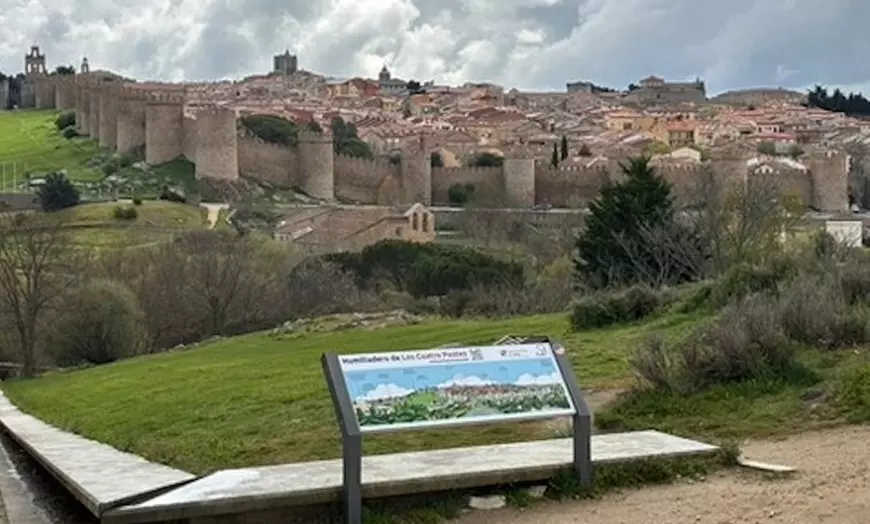 Image 3: Tour Privado a Avila Medio Día en Minivan