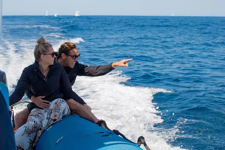 Private Tangalooma Wrecks Tour