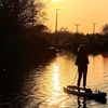 Image 5: Paddleboarding Adventures in Tonbridge