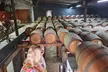 Group of Four Private Barossa Wine Tour with Lunch - Image 7