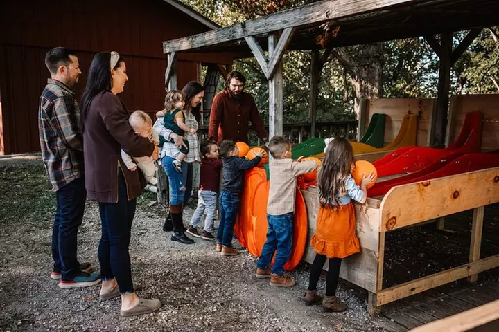 Shepherd's Adventure Park