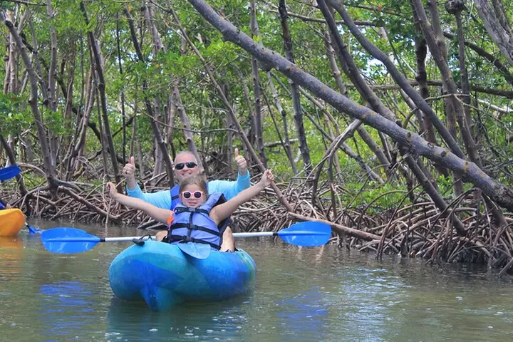 Rookery Bay Kayak Adventure – Mangroves, Wildlife & Photos