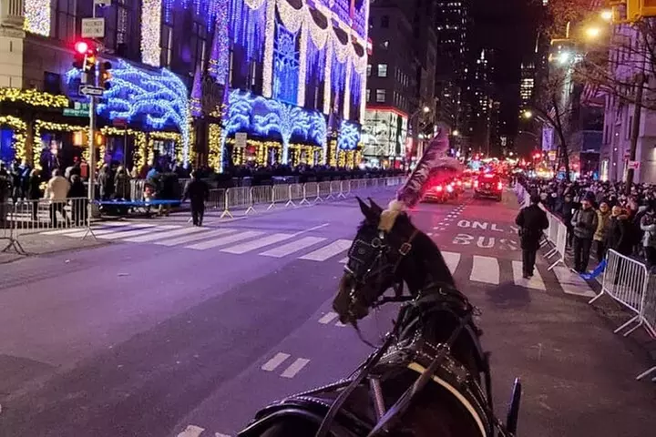 New York City Christmas Lights Private Horse Carriage Ride