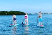 Half Day Kayak Rental to John's Pass Sandbar & Mangrove Tunnel - Second Medium