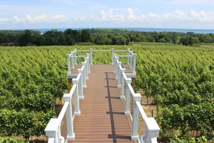 5-Hour Traverse City Wine Tour: 4 Wineries on Old Mission Peninsula