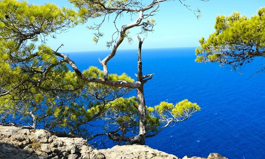 Image 8: Tramuntana Hidden Gems Scenic Drive a través de los pueblos de Mall...