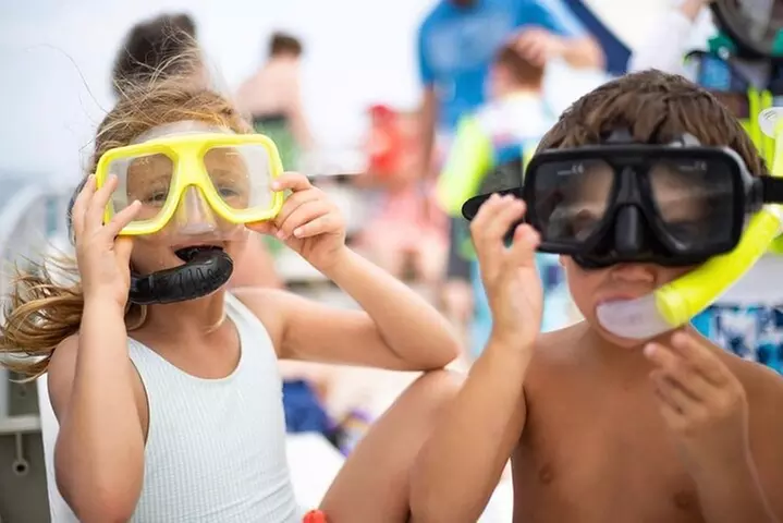 Shell Island Snorkel and Dolphin Catamaran Cruise with Island Time II - Primary Image