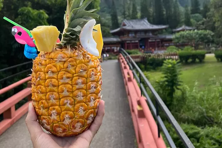 Full-Day Circle Island Guided Tour of Oahu - Primary Image