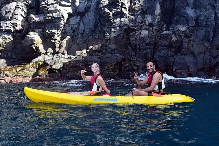 Tenerife : Tour en Kayak Tortuga & Delfines con Snorkel & Traje de ...