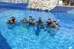 Experience Diving Under Water Museum and Reef for beginners - Second Medium